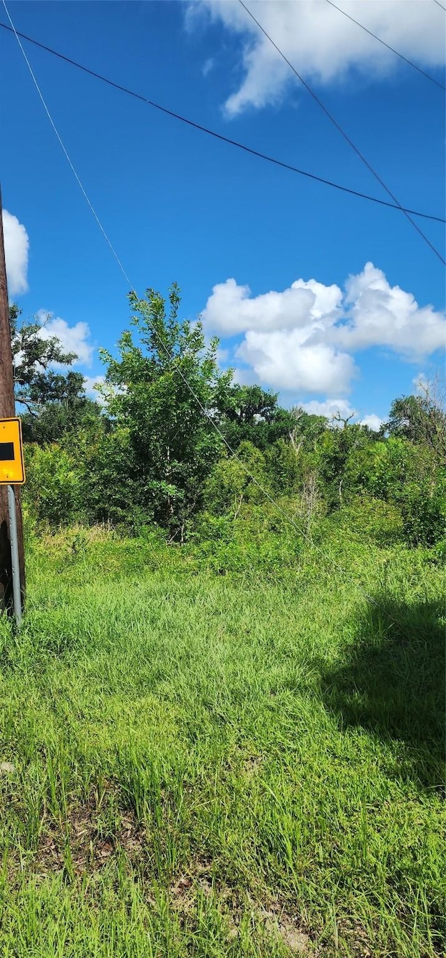 0 County Road 506, Brazoria, TX 77422 - photo 1