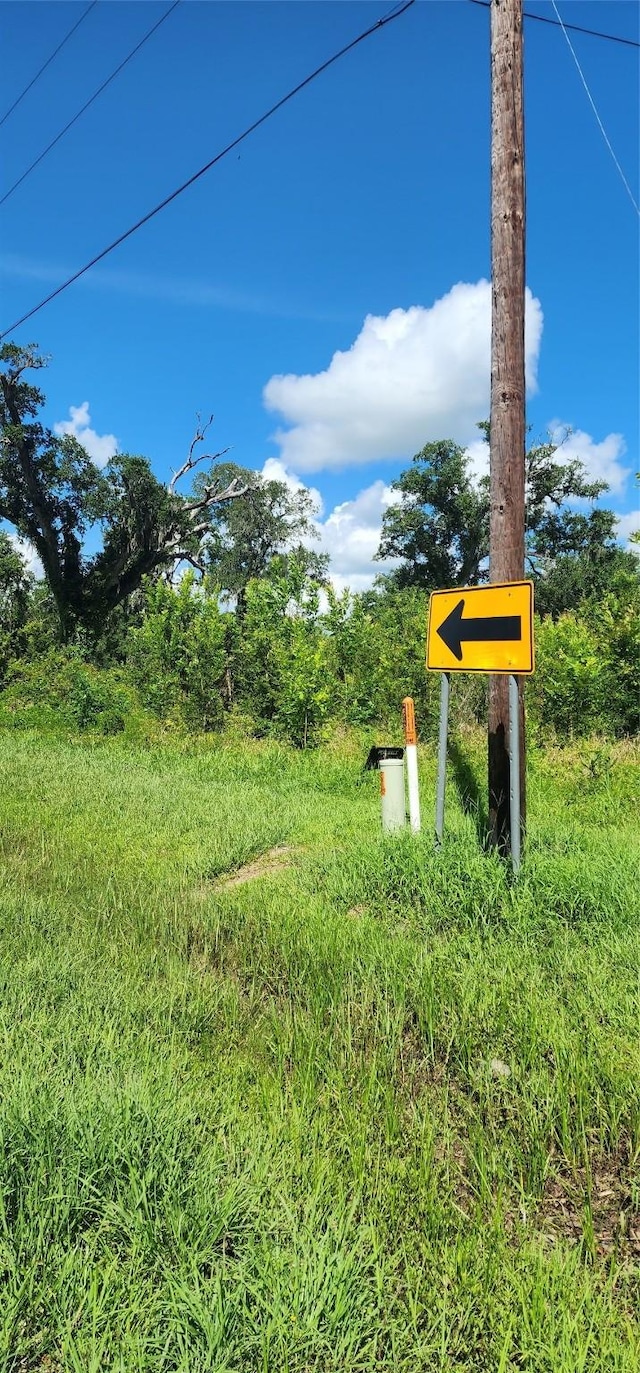 0 County Road 506, Brazoria, TX 77422 - photo 2