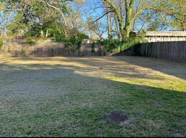 502 Chestnut St, Brazoria, TX 77422 - photo 22