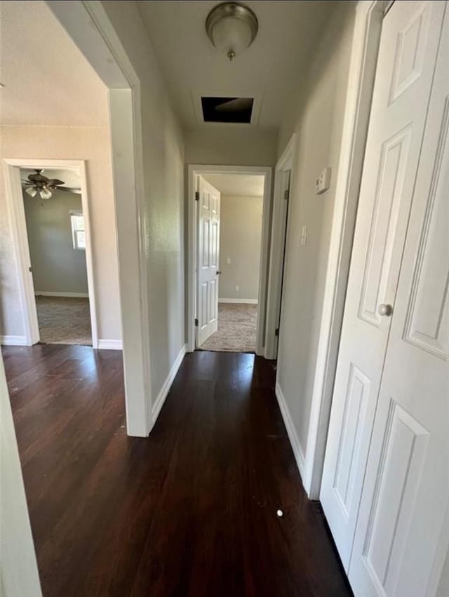 502 Chestnut St, Brazoria, TX 77422 - photo 16