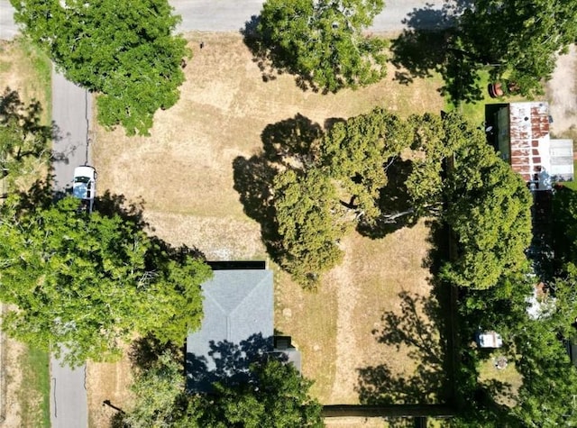 502 Chestnut St, Brazoria, TX 77422 - photo 25