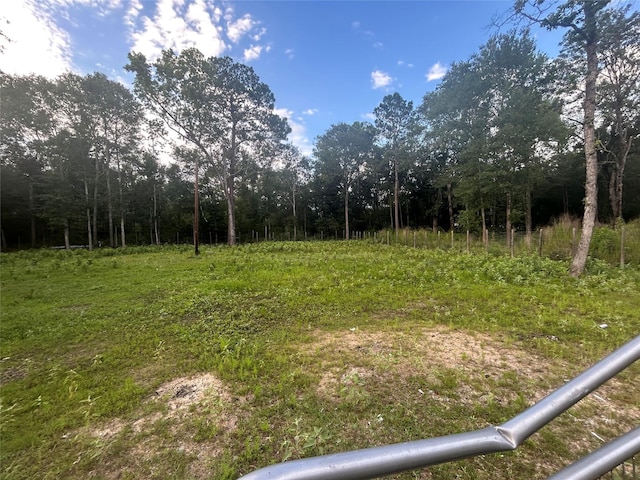 01 Judy Ln, Shepherd, TX 77371