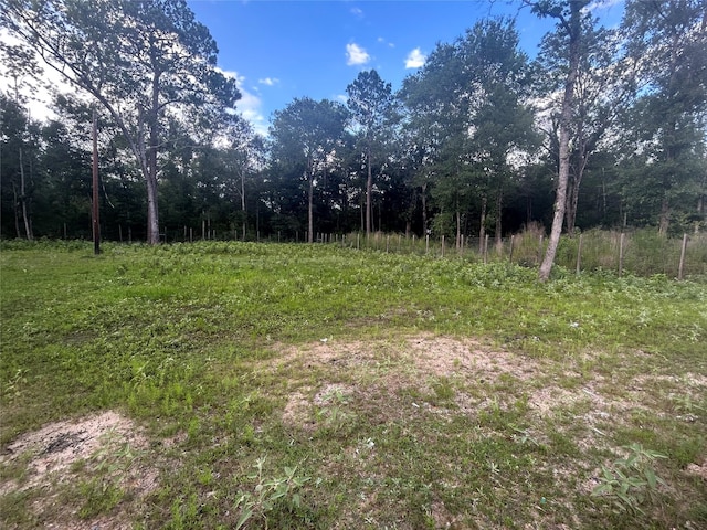 01 Judy Ln, Shepherd, TX 77371