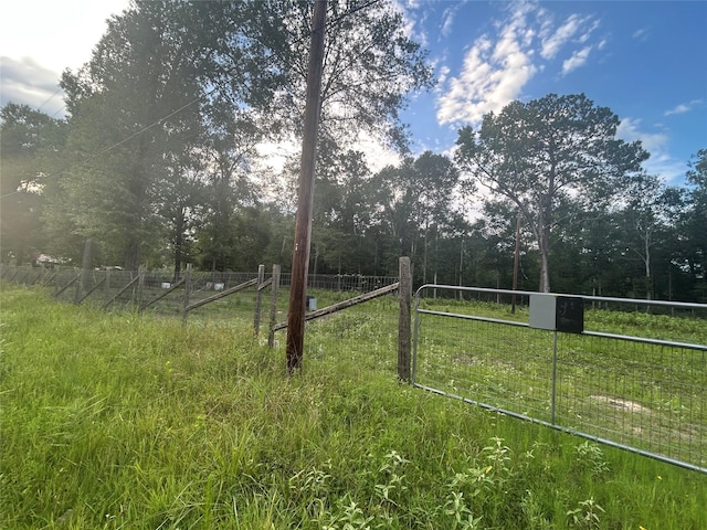 01 Judy Ln, Shepherd, TX 77371