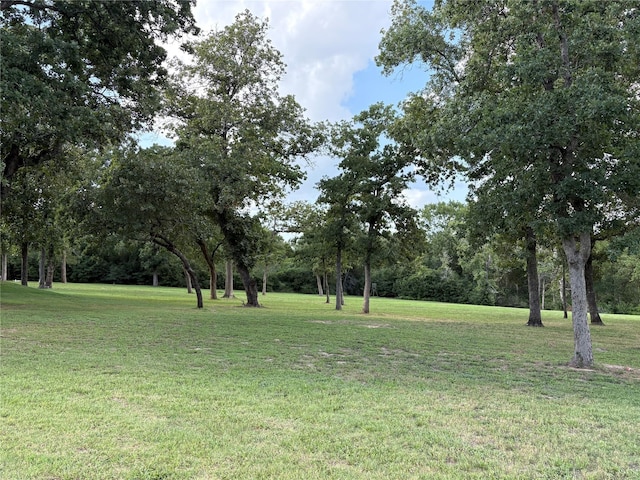 8595 Jared Rd, Bellville, TX 77418 - photo 26