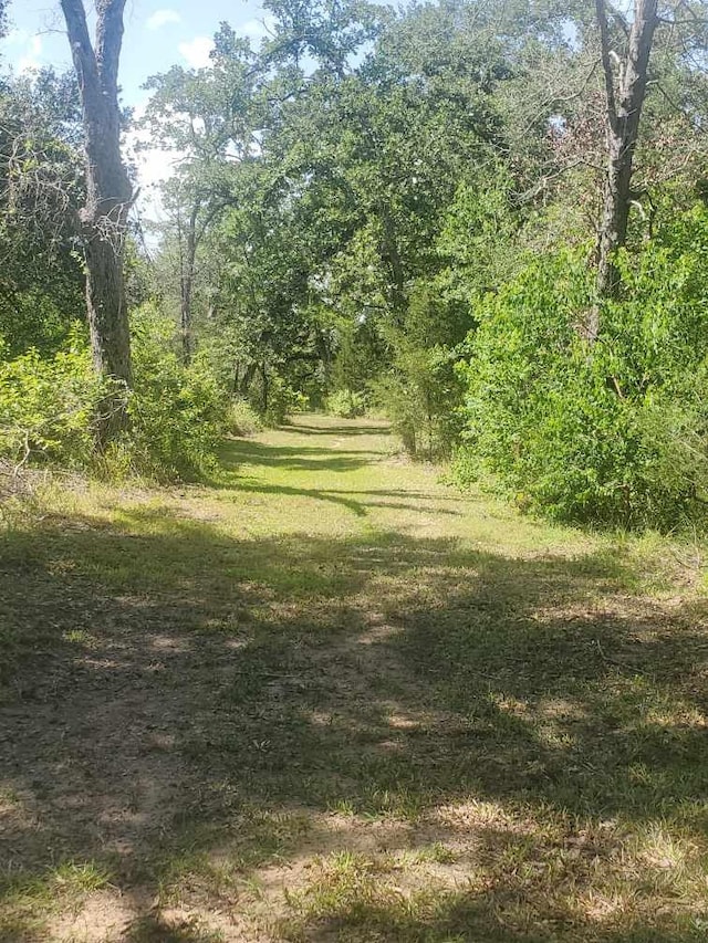 8595 Jared Rd, Bellville, TX 77418 - photo 27