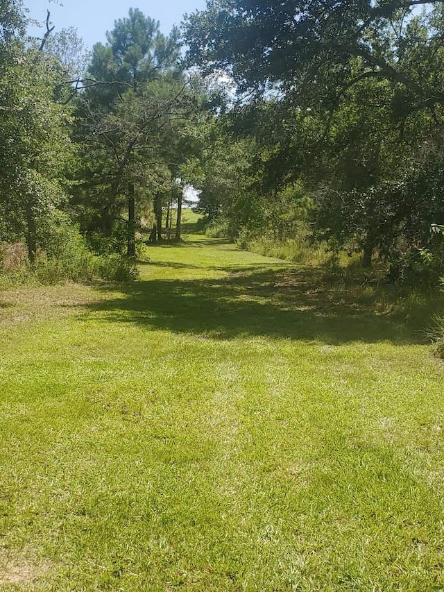 8595 Jared Rd, Bellville, TX 77418 - photo 29