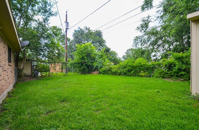 12806 Bauman Rd, North Houston, TX 77037 - view of yard