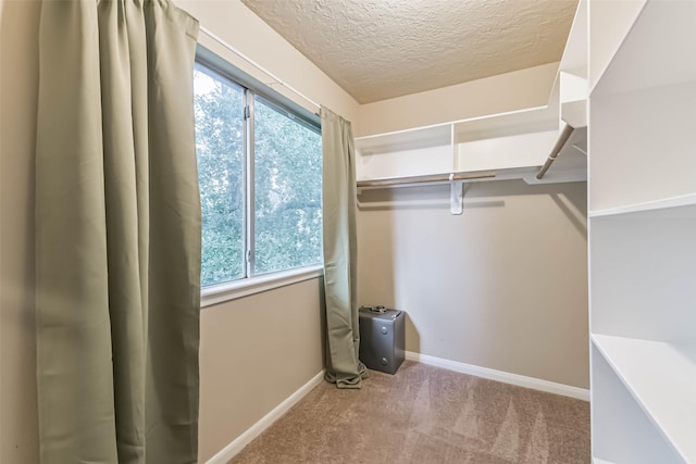 3914 Cherry Forest Dr, Houston, TX 77088 - spacious closet featuring carpet