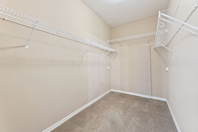 3207 Mossy Bend Ln, Pearland, TX 77581 - photo 28