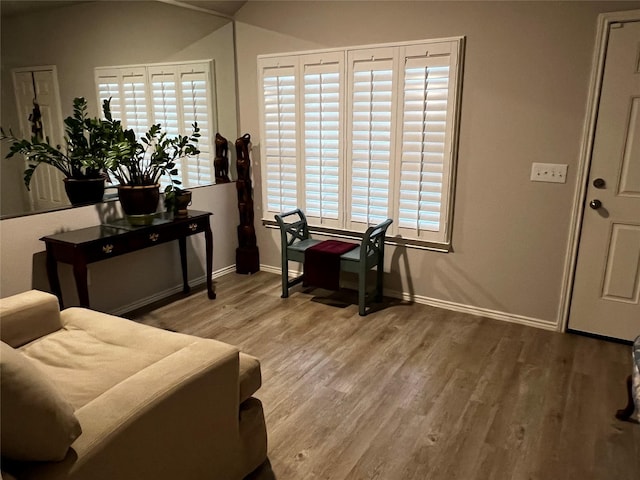 278 Cumberland Forest Dr, Magnolia, TX 77354 - office space featuring wood finished floors and healthy amount of natural light