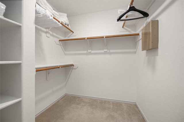 5767 Wandering Creek Dr, Richmond, TX 77469 - walk in closet with carpet floors