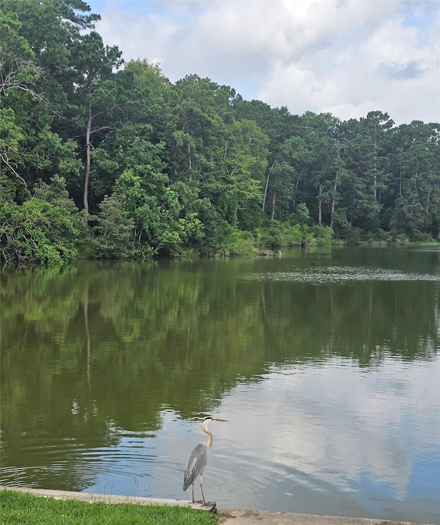 58 Altwood Dr, Coldspring, TX 77331 - photo 41