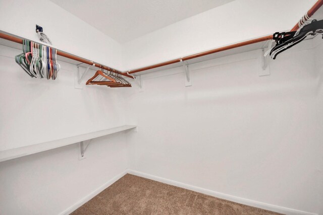 3115 Pine Dust Ln, Spring, TX 77373 - photo 32