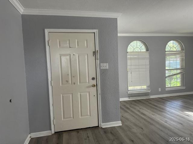 7306 Ellerby Pt, San Antonio, TX 78240 - foyer featuring ornamental molding and dark wood-style floors