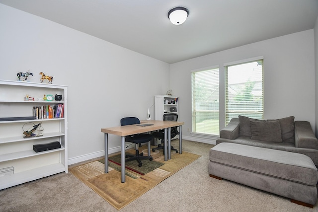 2710 Indigo Manor Ln, Katy, TX 77494 - home office with carpet