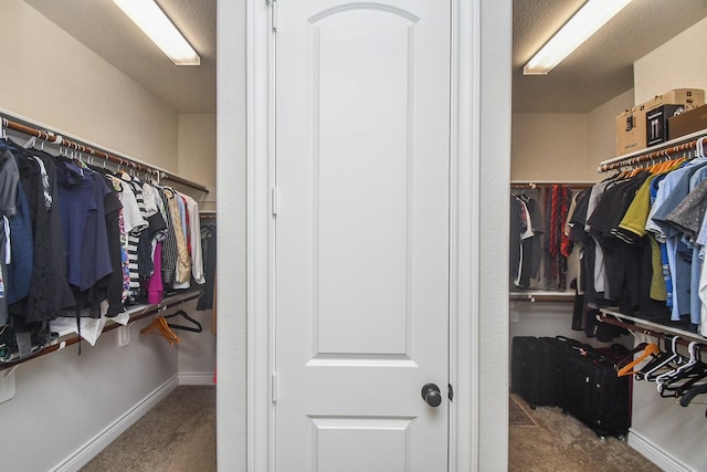 2710 Indigo Manor Ln, Katy, TX 77494 - walk in closet featuring carpet floors