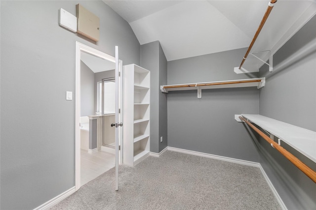 537 Green Cedar Dr, League City, TX 77573 - walk in closet with carpet flooring
