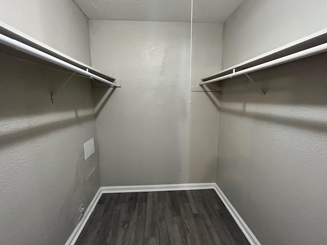 4831 Sycamore Ave Unit 16, Pasadena, TX 77503 - walk in closet with wood finished floors