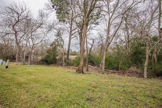 4515 Ravine Dr, Friendswood, TX 77546 - photo 22