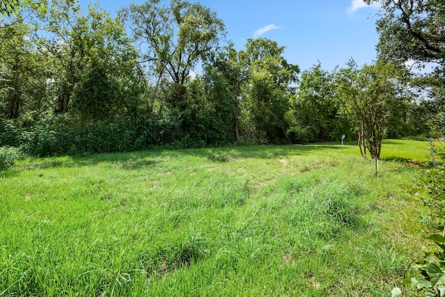 12337 Kayla Ln, Houston, TX 77015 - view of yard featuring a wooded view