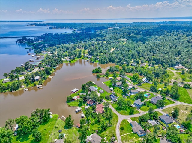 1575 Yaupon Cove Dr, Onalaska, TX 77360 - drone / aerial view of a large body of water