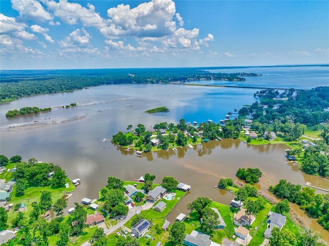 1575 Yaupon Cove Dr, Onalaska, TX 77360 - aerial perspective of suburban area featuring a large body of water