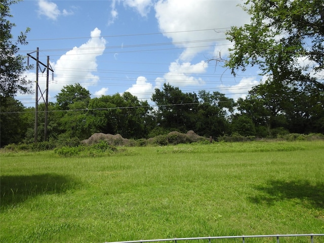 2622 Forest Oaks Dr, College Station, TX 77845 - photo 23