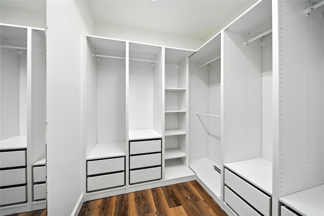1610 Antoine Dr, Houston, TX 77055 - spacious closet featuring dark wood-type flooring