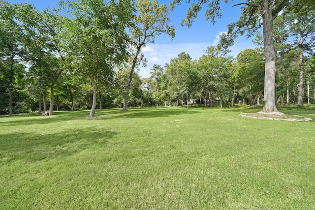 26410 Yaupon Crk, Magnolia, TX 77355 - view of green lawn featuring view of scattered trees