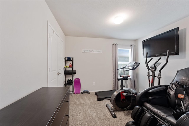 1055 Rancho Grande Dr, Channelview, TX 77530 - exercise room featuring carpet floors