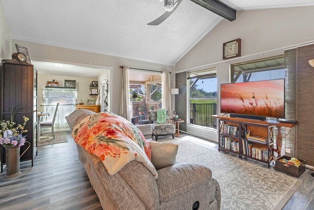 17 Townhouse Ln, Trinity, TX 75862 - living area with wood finished floors, ceiling fan, and a textured ceiling