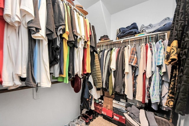 1404 Woods Lake Ct, Houston, TX 77047 - spacious closet featuring carpet