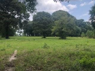 000 Counts Rd, Point Blank, TX 77364 - photo 2