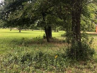 000 Counts Rd, Point Blank, TX 77364 - photo 4