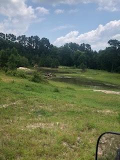 000 Counts Rd, Point Blank, TX 77364 - photo 5