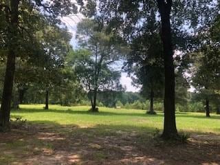 000 Counts Rd, Point Blank, TX 77364 - photo 3
