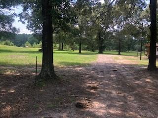 000 Counts Rd, Point Blank, TX 77364 - photo 7