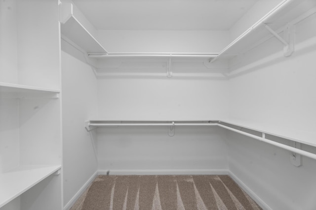 3 Briarwood Dr, Conroe, TX 77301 - spacious closet featuring carpet flooring