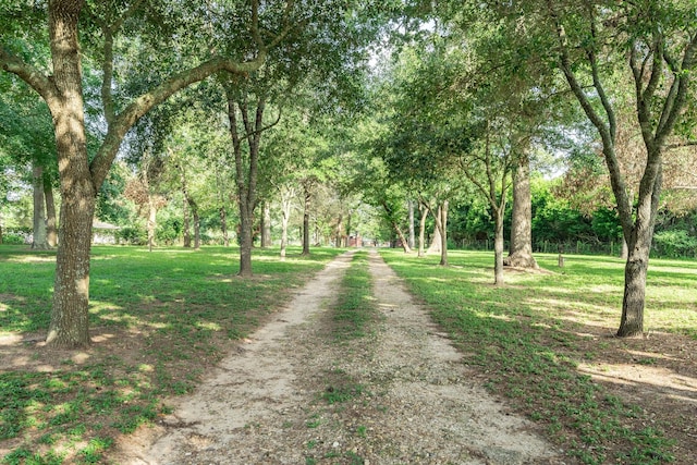 13141 Nicholson Rd, Conroe, TX 77303 - view of dirt / gravel road