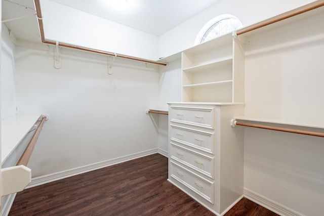 13141 Nicholson Rd, Conroe, TX 77303 - walk in closet featuring dark wood-style floors