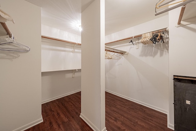 13141 Nicholson Rd, Conroe, TX 77303 - walk in closet with wood finished floors