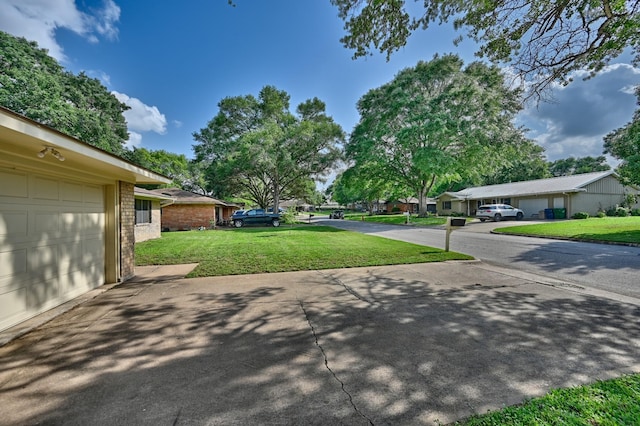204 Meadow Ln, Brenham, TX 77833 - view of green lawn with driveway and a residential view