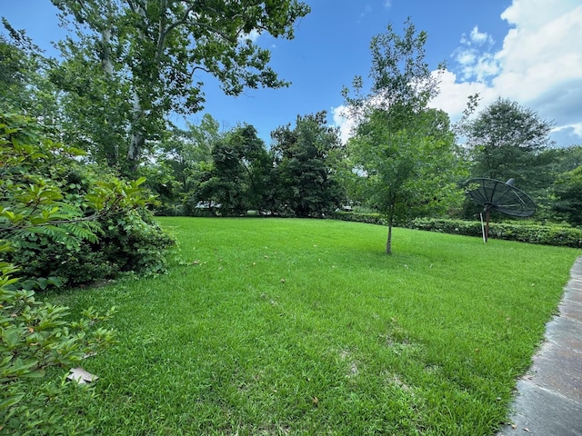 109 S Broadway, Kennard, TX 75847 - photo 16