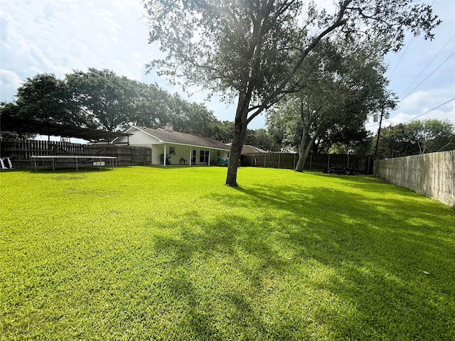 1006 Fairlane Dr, Ganado, TX 77962 - fenced backyard featuring a trampoline