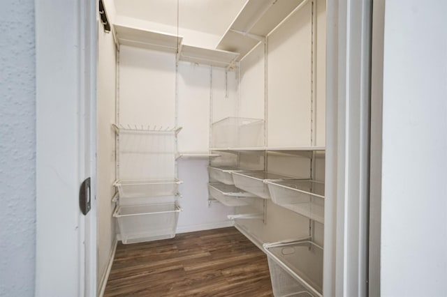 2601 Augusta Dr Unit 26, Houston, TX 77057 - walk in closet with dark wood-style floors