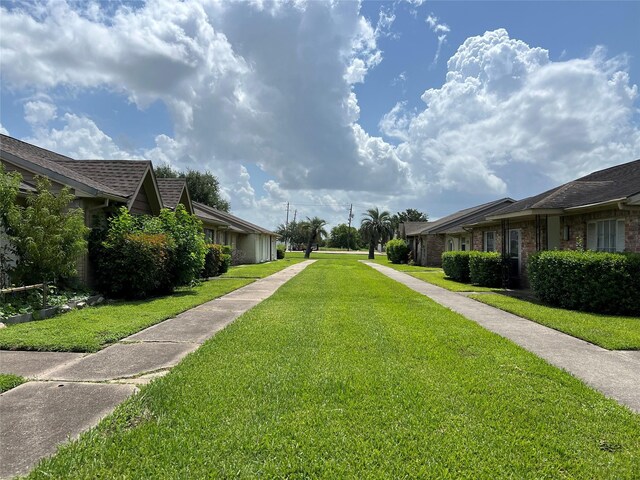 8330 Leamont Dr, Houston, TX 77072 - view of green lawn