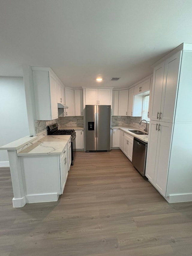3923 Hickok Ln, Houston, TX 77047 - kitchen with appliances with stainless steel finishes, under cabinet range hood, decorative backsplash, and light wood-type flooring