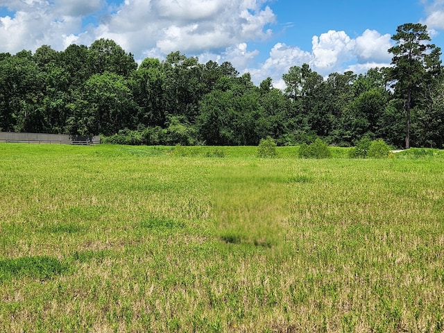 12855 Bentwood Farms Trce, Montgomery, TX 77356