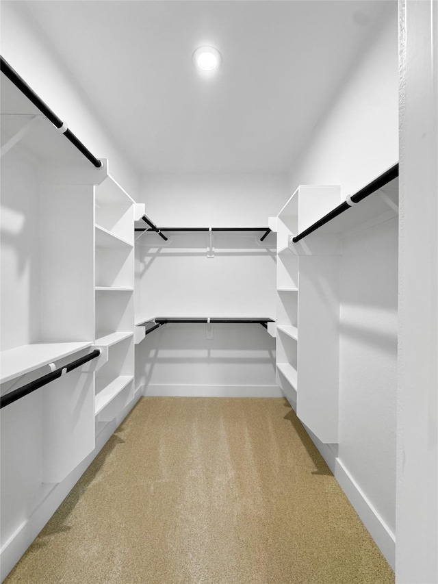 314 E Republic Ave, Baytown, TX 77520 - spacious closet featuring light carpet